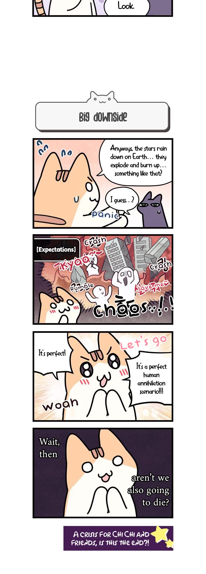 Cats Own the World Chapter 39 page 5 - Chapter 39