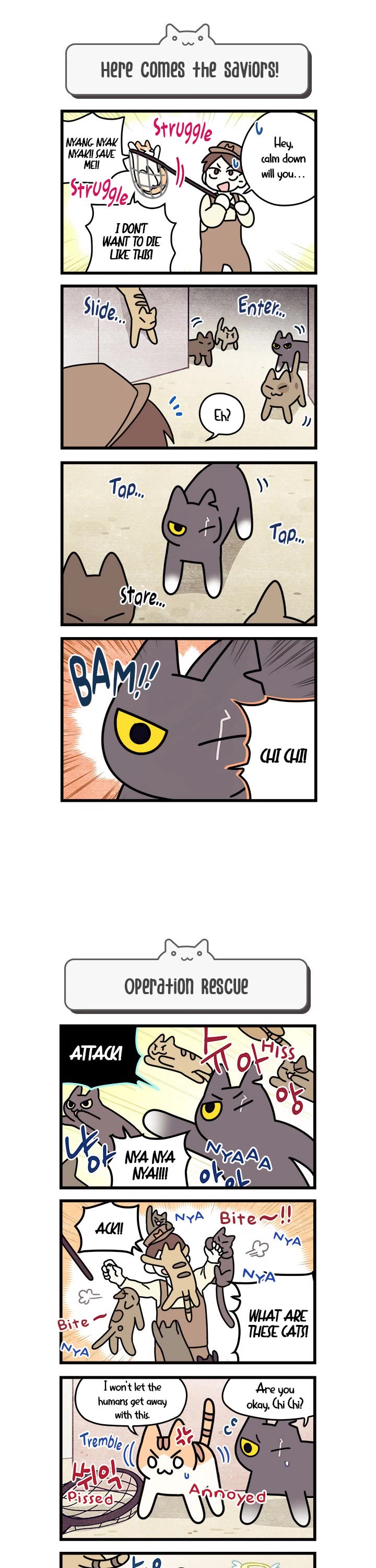 Cats Own the World Chapter 50 page 2 - Chapter 50