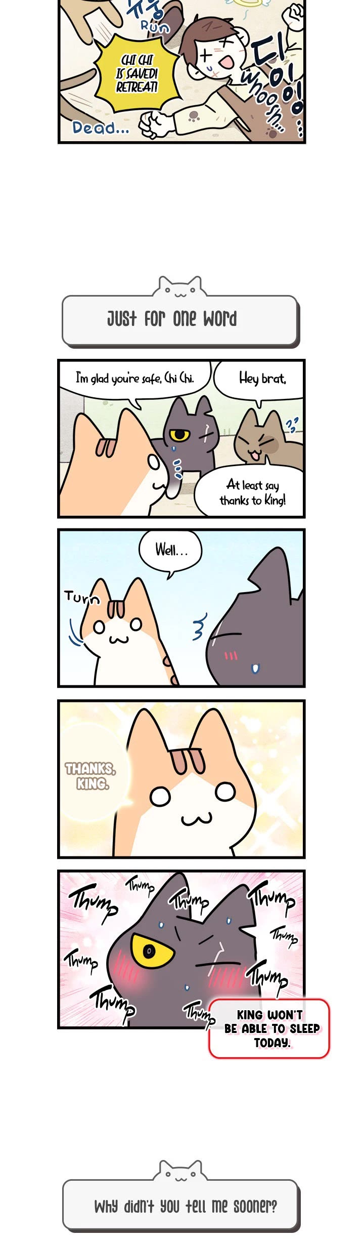 Cats Own the World Chapter 50 page 3 - Chapter 50