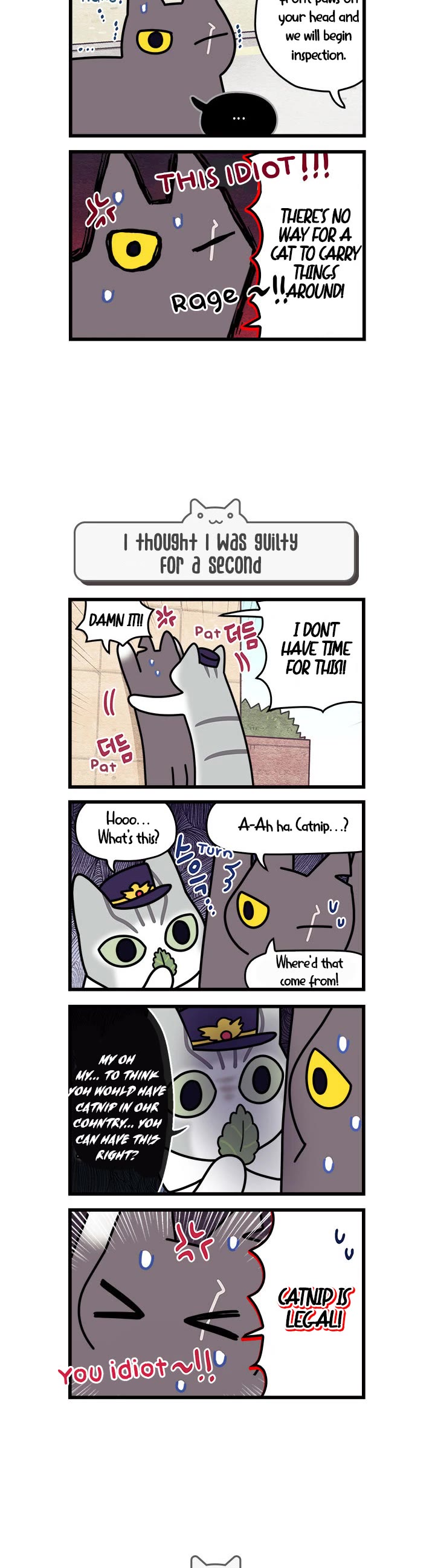 Cats Own the World Chapter 55 page 3 - Chapter 55