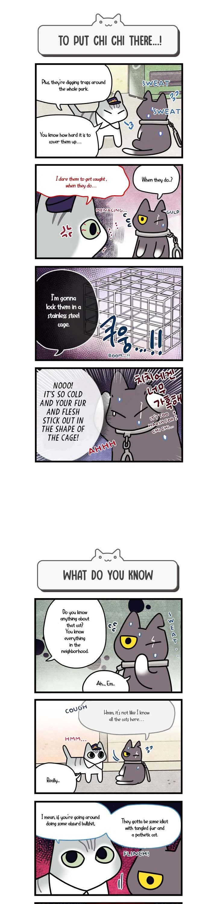 Cats Own the World Chapter 56 page 2 - Chapter 56