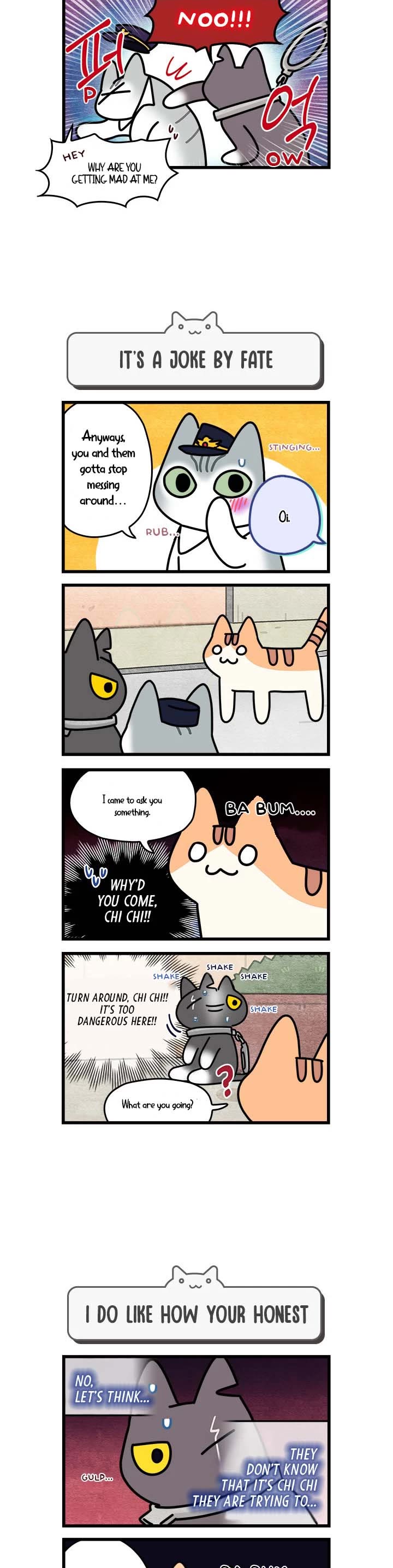 Cats Own the World Chapter 56 page 3 - Chapter 56