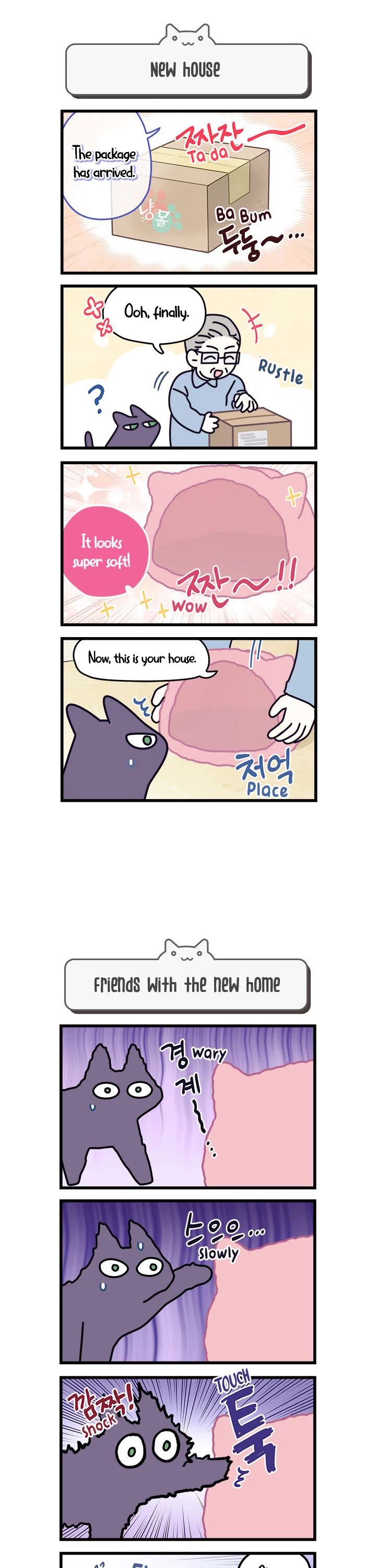 Cats Own the World Chapter 57 page 2 - Chapter 57