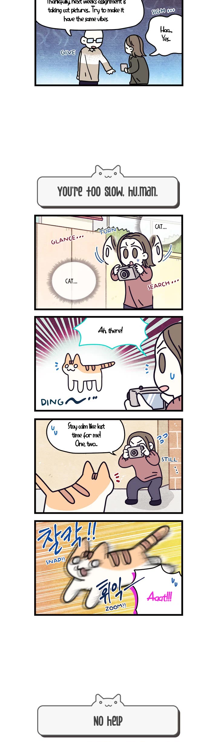 Cats Own the World Chapter 60 page 3 - Chapter 60