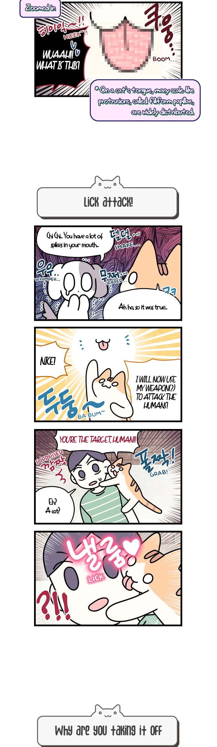 Cats Own the World Chapter 67 page 3 - Chapter 67