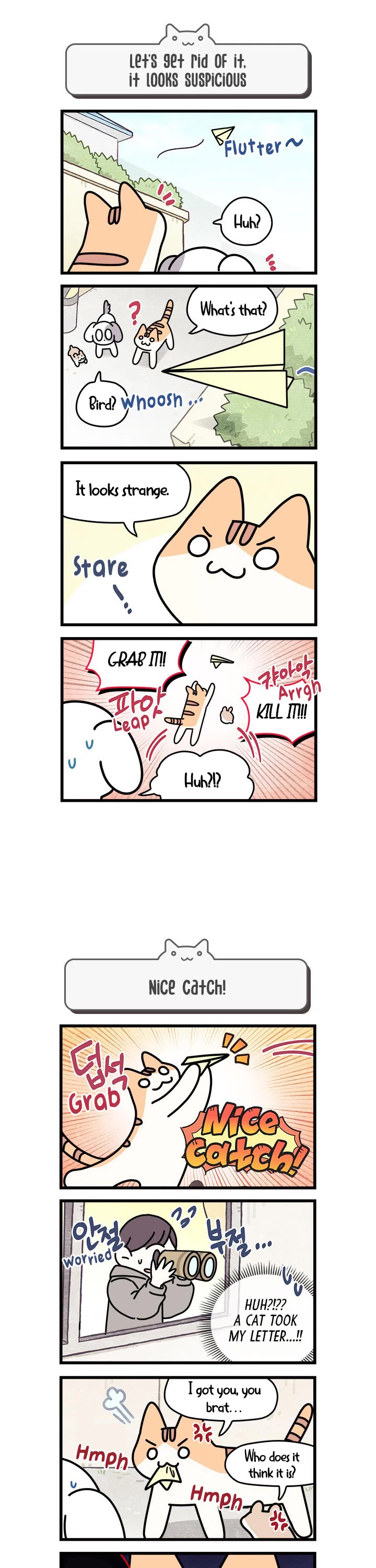 Cats Own the World Chapter 70 page 2 - Chapter 70
