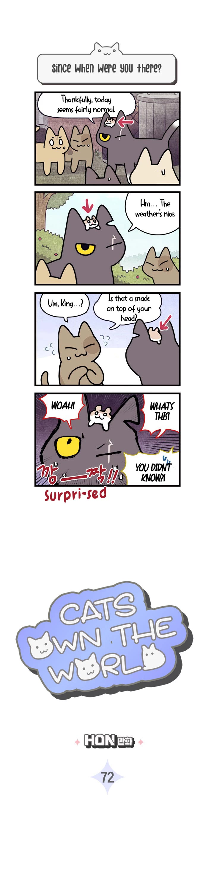 Cats Own the World Chapter 72 page 1 - Chapter 72