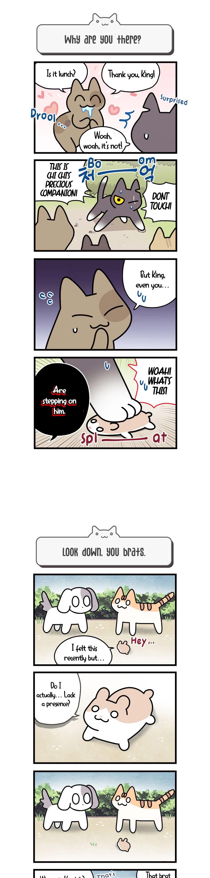 Cats Own the World Chapter 72 page 2 - Chapter 72