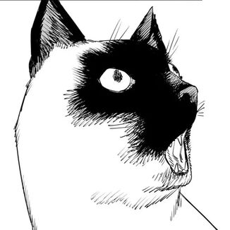 Chainsaw Man Chapter 102: Save the Cat cover