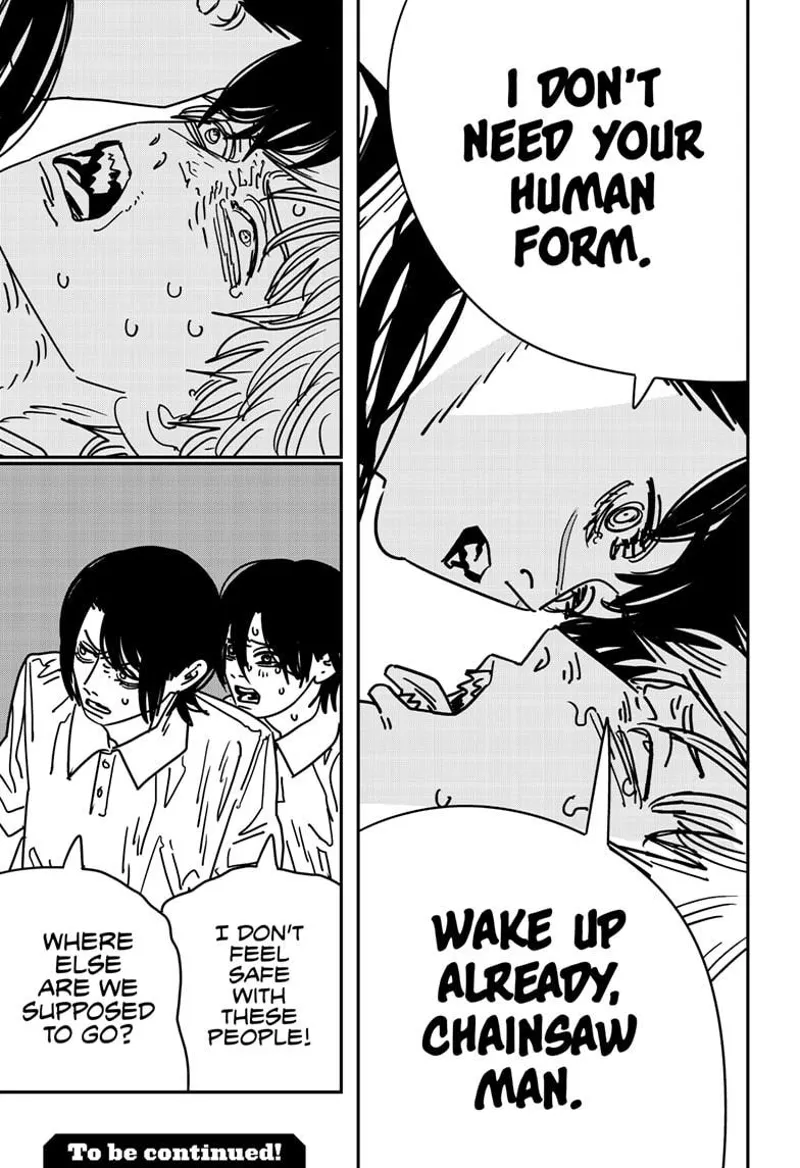 Chainsaw Man Chapter 163 page 17 - Chapter 163: Dream Balls