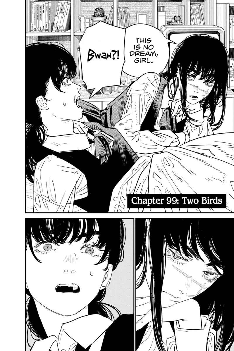 Chainsaw Man Chapter 99 page 2 - Chapter 99: Two Birds