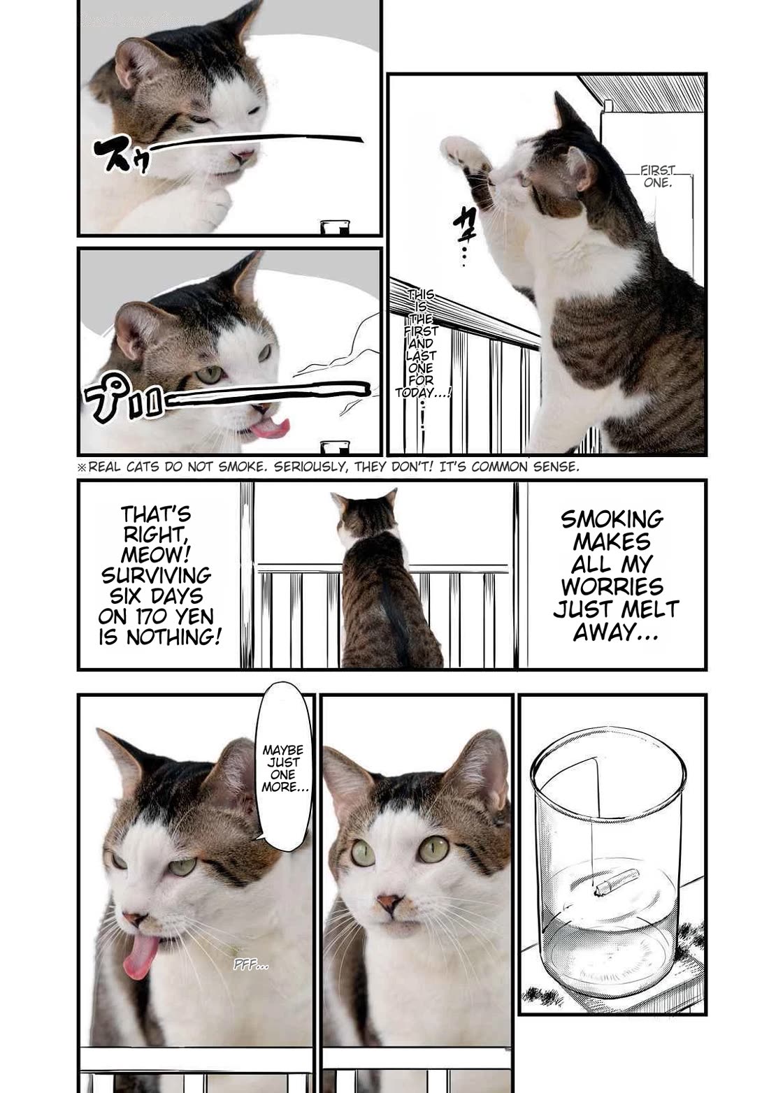 Chainsmoker Cat Chapter 141.1 page 2 - Chapter 141.1: Bonus Live Action Chapter