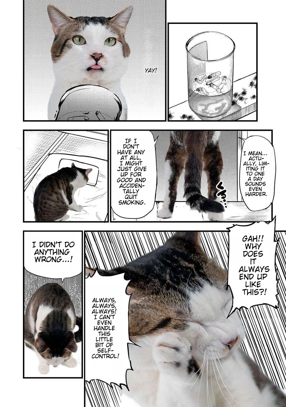 Chainsmoker Cat Chapter 141.1 page 3 - Chapter 141.1: Bonus Live Action Chapter