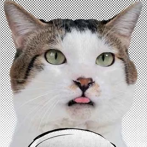 Chainsmoker Cat Chapter 141.1: Bonus Live Action Chapter cover