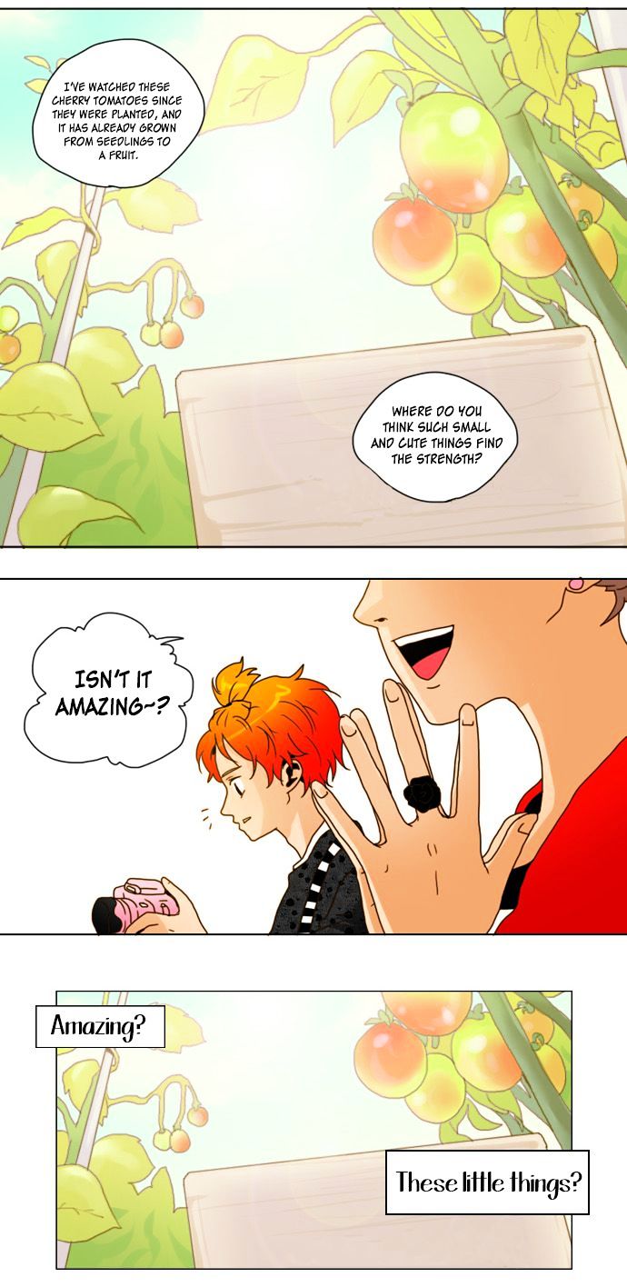 Cherry Tomato Chapter 2 page 18 - Chapter 2 : Why didn't I think of that?