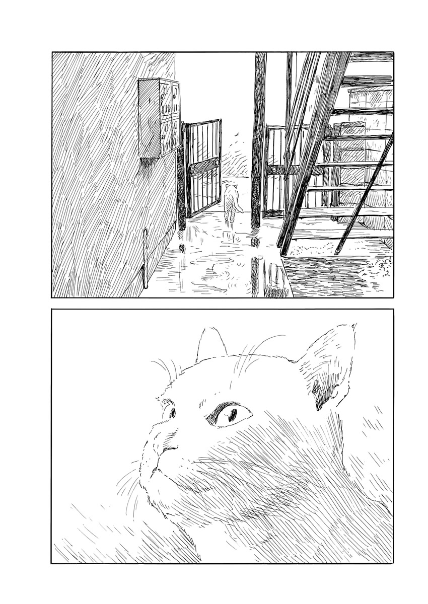 Chi no Wadachi Chapter 139 page 21 - Chapter 139: The Storm Passes