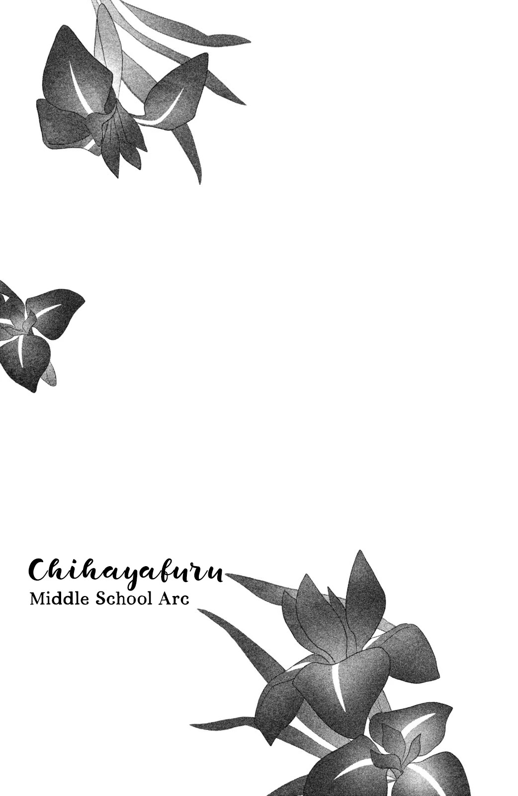 Chihayafuru: Middle School Arc Chapter 12 page 30 - Chapter 12: 12th Poem