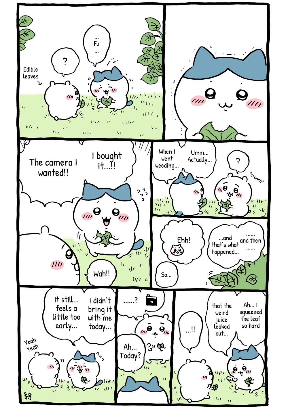 Chiikawa: Nanka Chiisakute Kawaii Yatsu Chapter 25 page 2 - Chapter 25: Camera