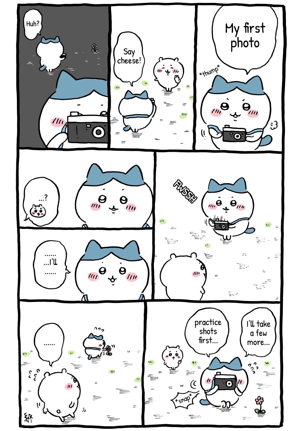 Chiikawa: Nanka Chiisakute Kawaii Yatsu Chapter 25 page 4 - Chapter 25: Camera