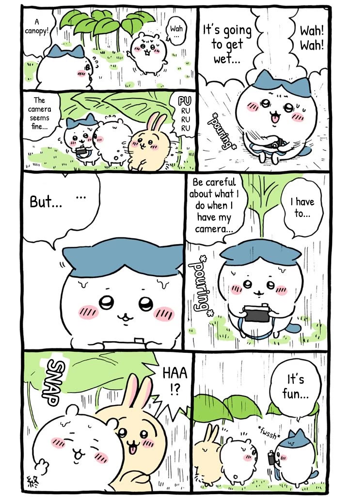 Chiikawa: Nanka Chiisakute Kawaii Yatsu Chapter 25 page 7 - Chapter 25: Camera