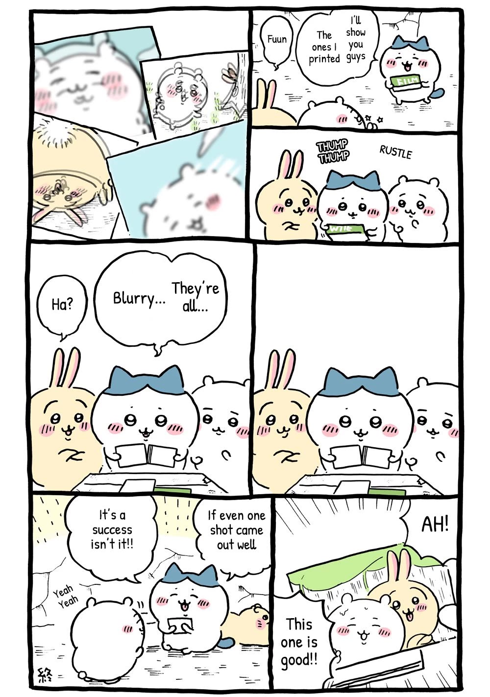 Chiikawa: Nanka Chiisakute Kawaii Yatsu Chapter 25 page 8 - Chapter 25: Camera