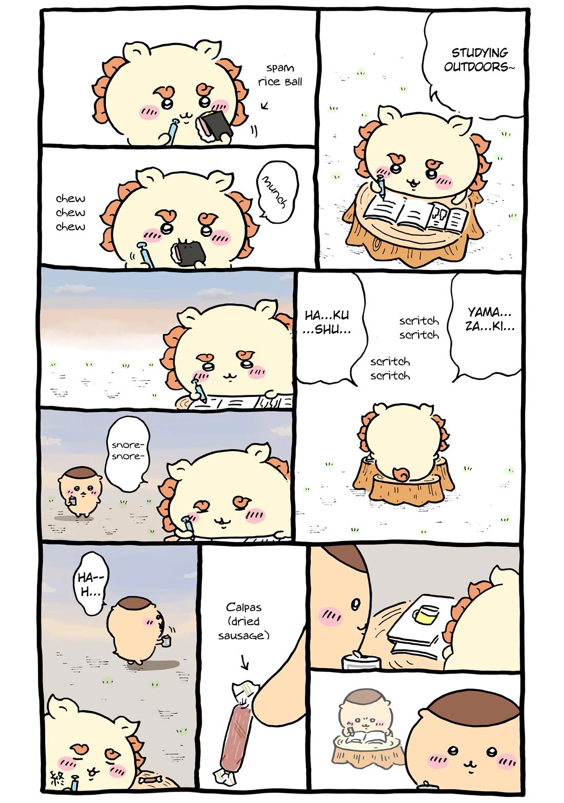 Chiikawa: Nanka Chiisakute Kawaii Yatsu Chapter 94 page 1 - Chapter 94: Of Shisa