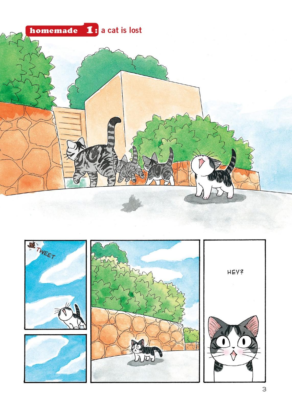 Chii's Sweet Home Chapter 1 page 4 - Chapter 1