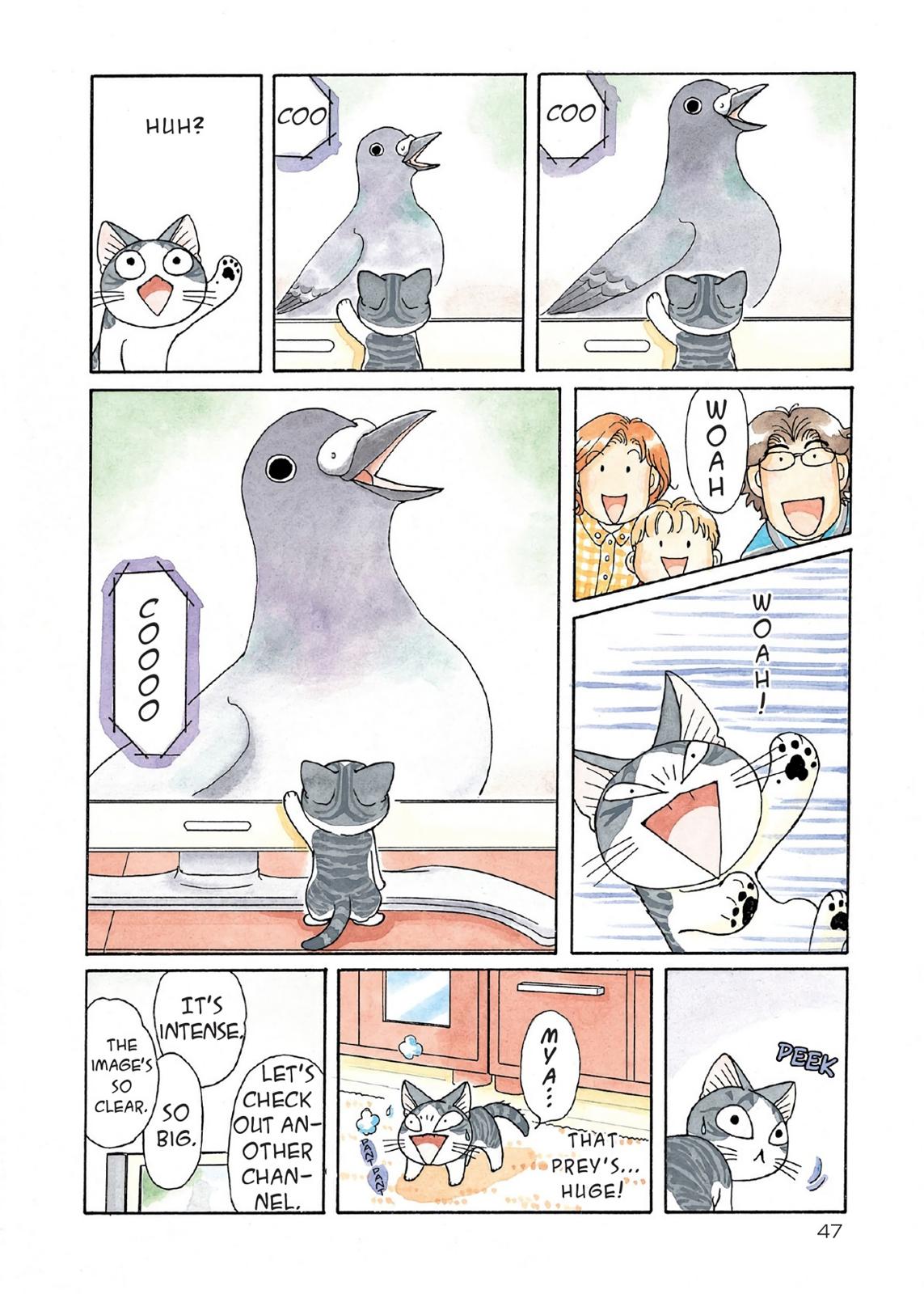 Chii's Sweet Home Chapter 116 page 5 - Chapter 116
