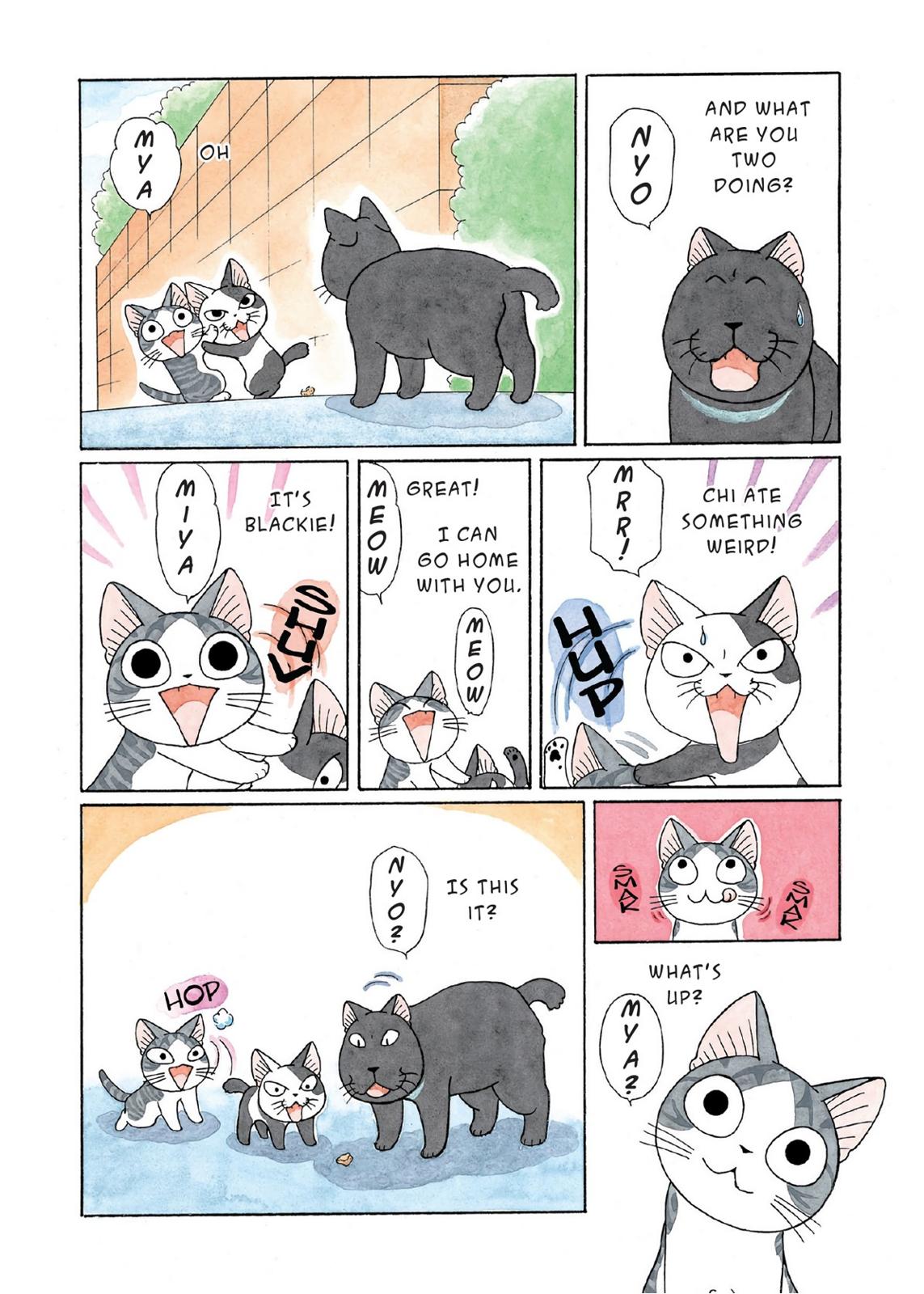 Chii's Sweet Home Chapter 125 page 7 - Chapter 125