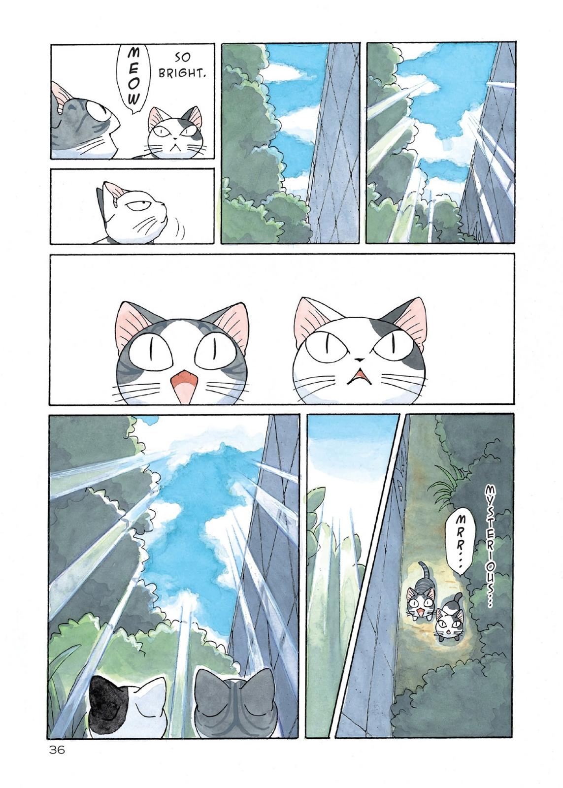 Chii's Sweet Home Chapter 133 page 2 - Chapter 133