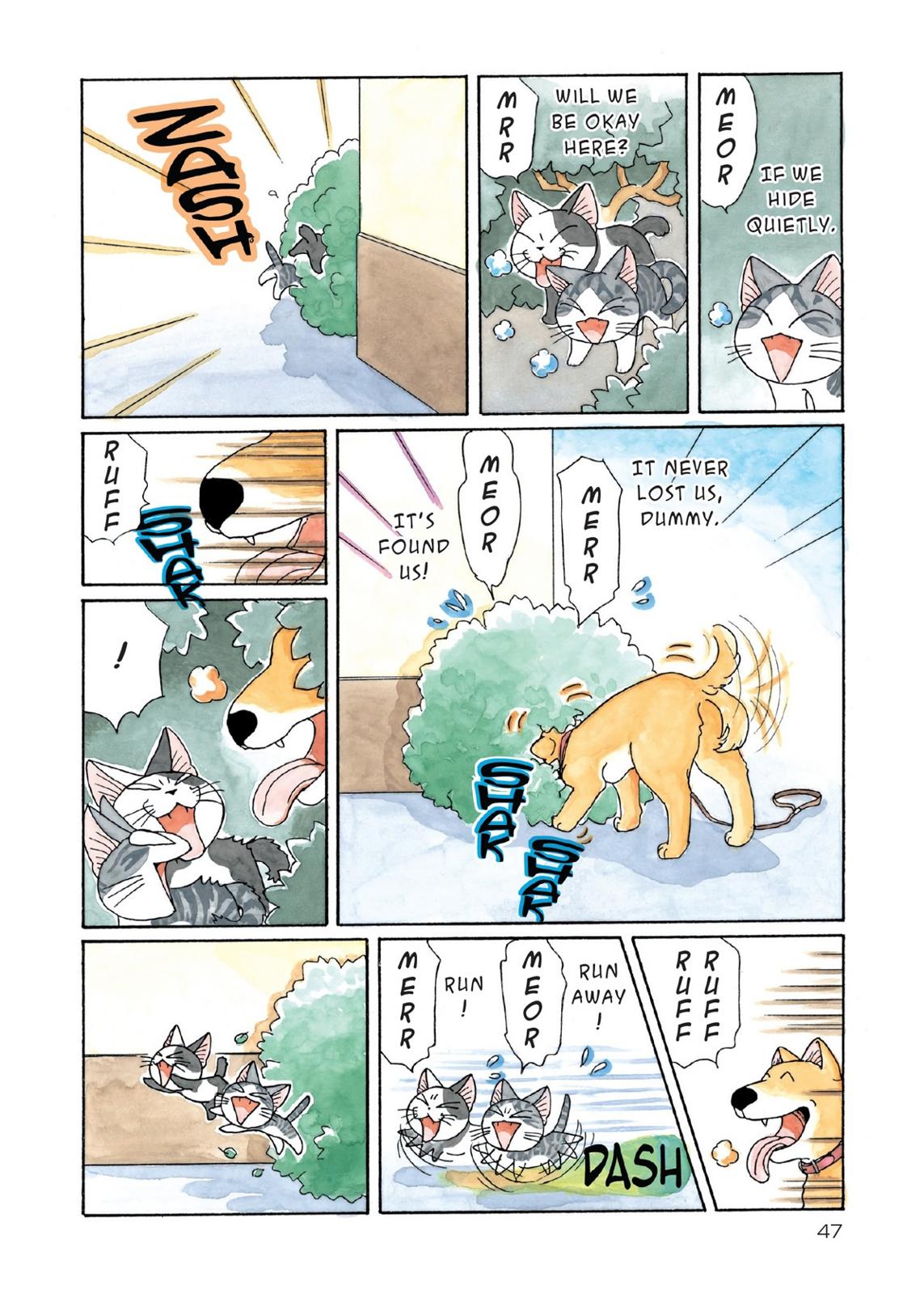 Chii's Sweet Home Chapter 134 page 5 - Chapter 134