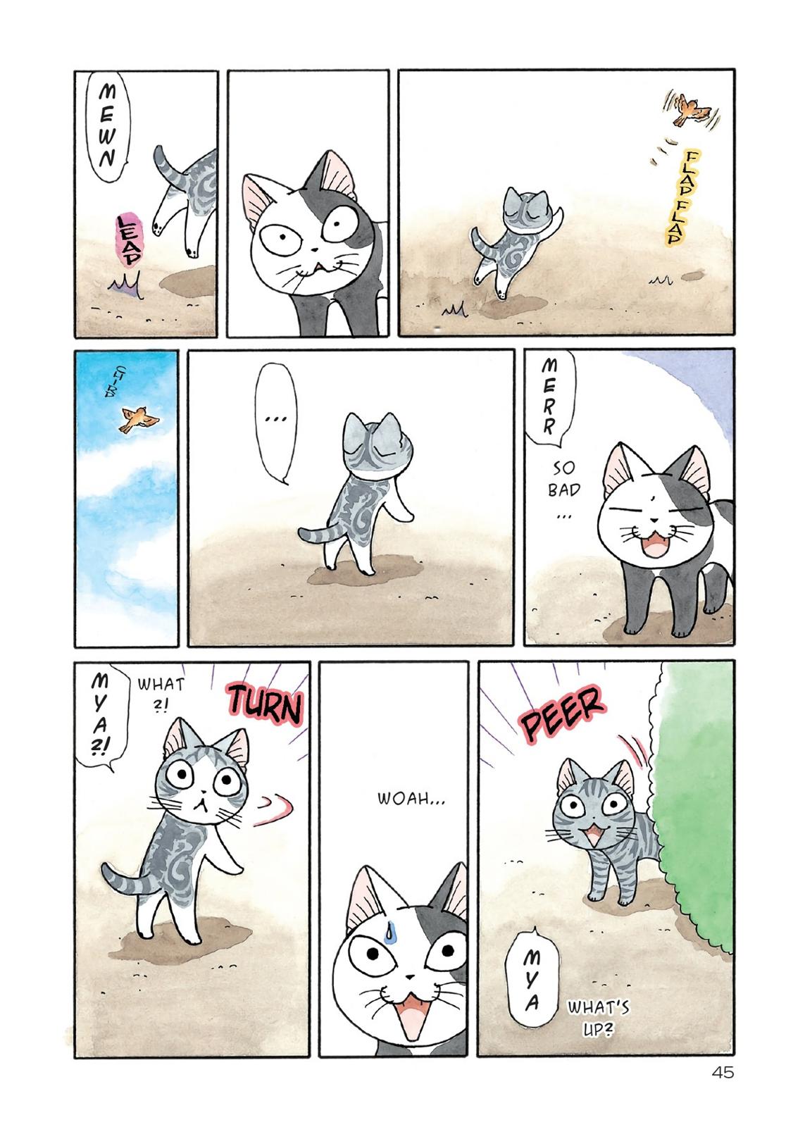 Chii's Sweet Home Chapter 170 page 3 - Chapter 170