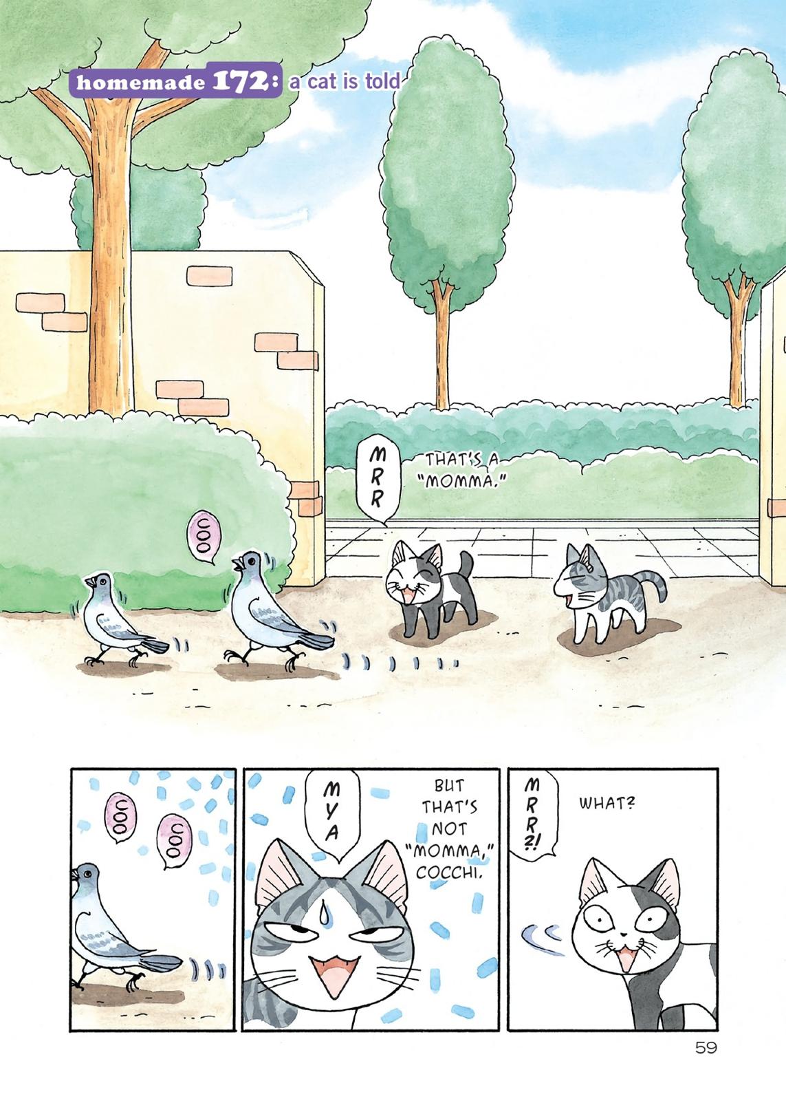 Chii's Sweet Home Chapter 172 page 1 - Chapter 172