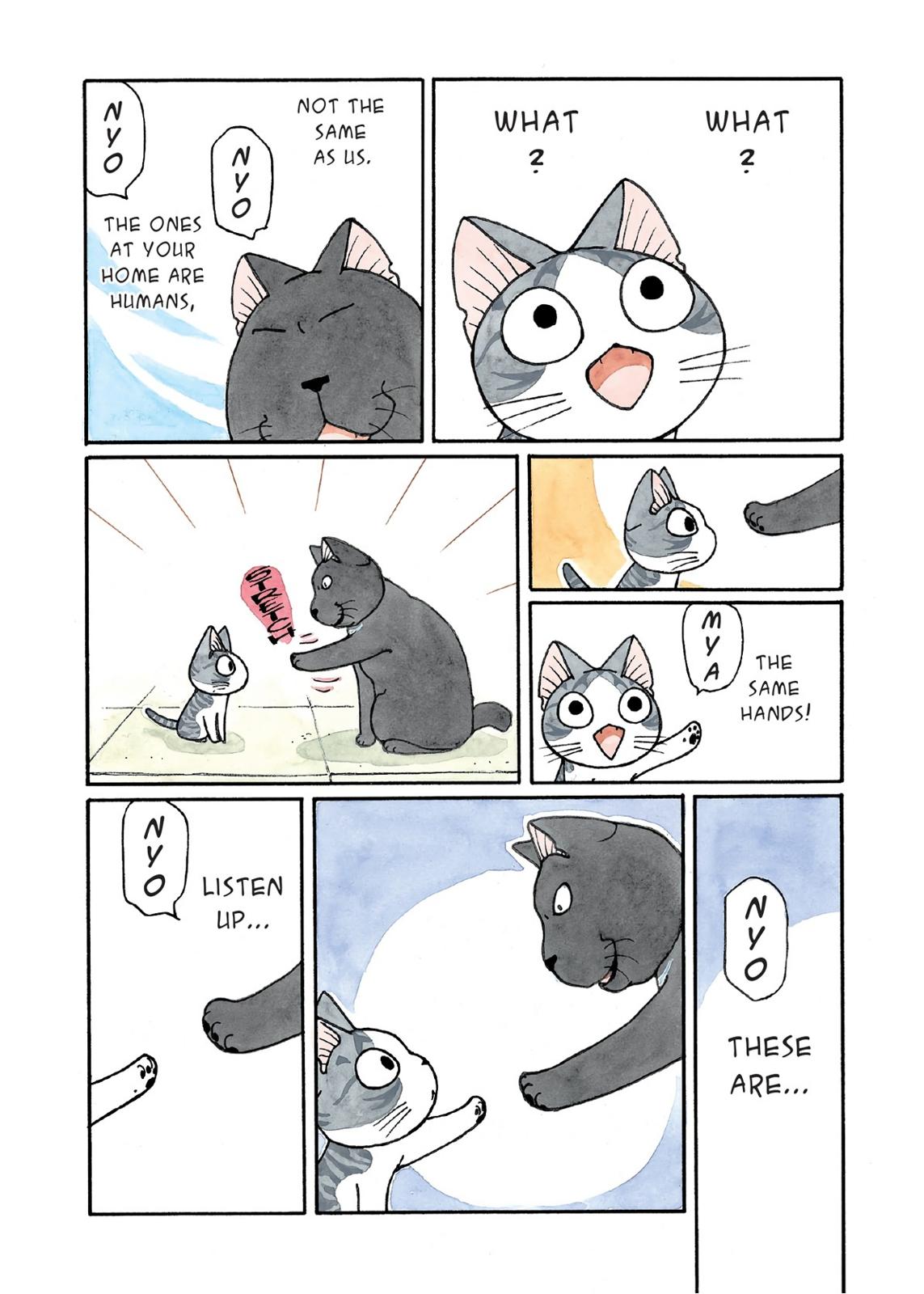 Chii's Sweet Home Chapter 176 page 7 - Chapter 176