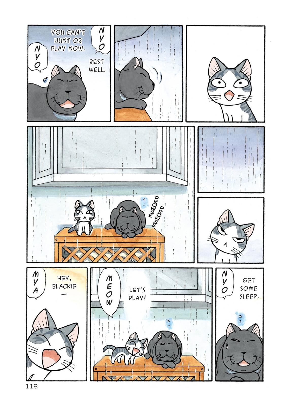 Chii's Sweet Home Chapter 179 page 4 - Chapter 179