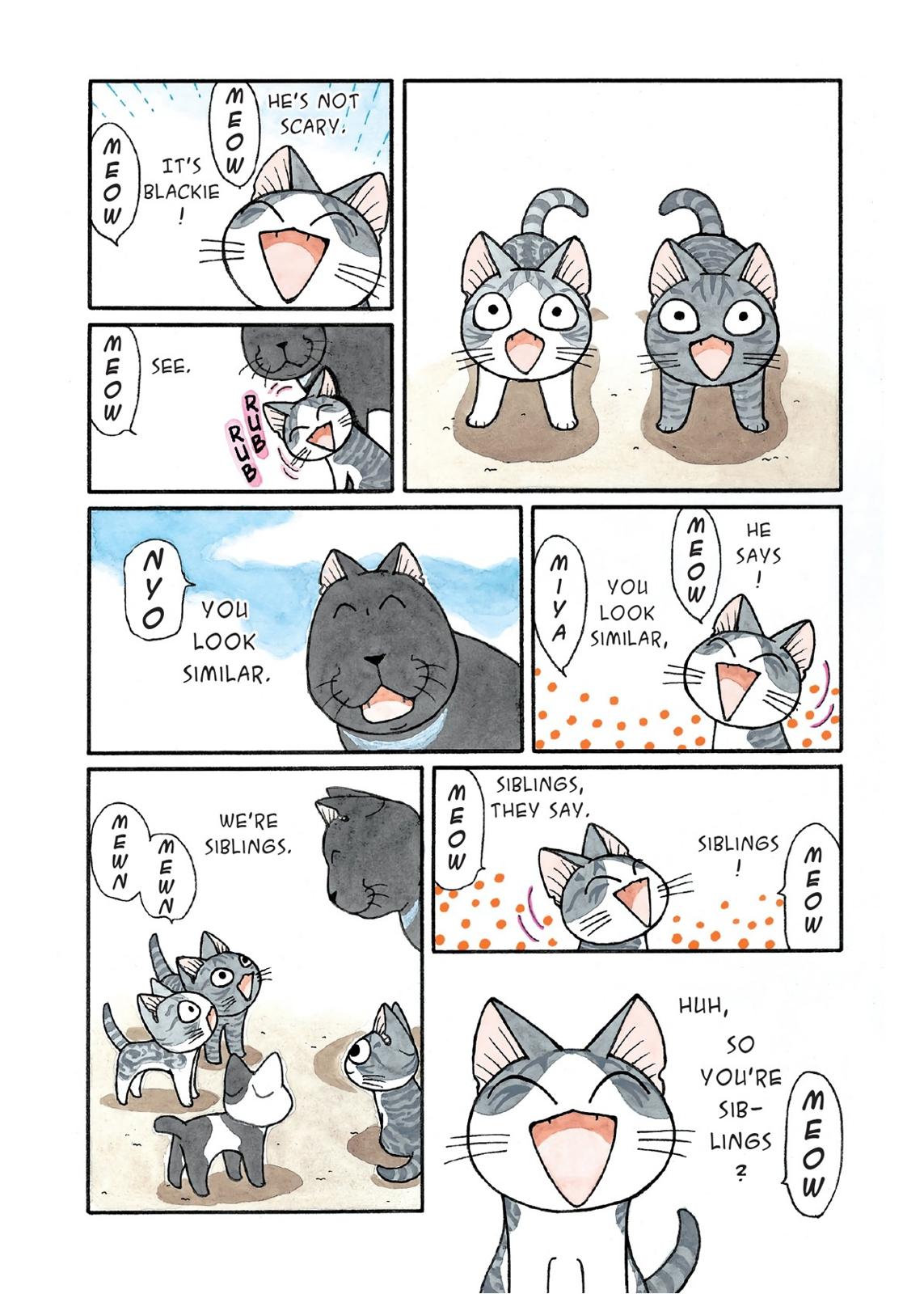 Chii's Sweet Home Chapter 181 page 3 - Chapter 181