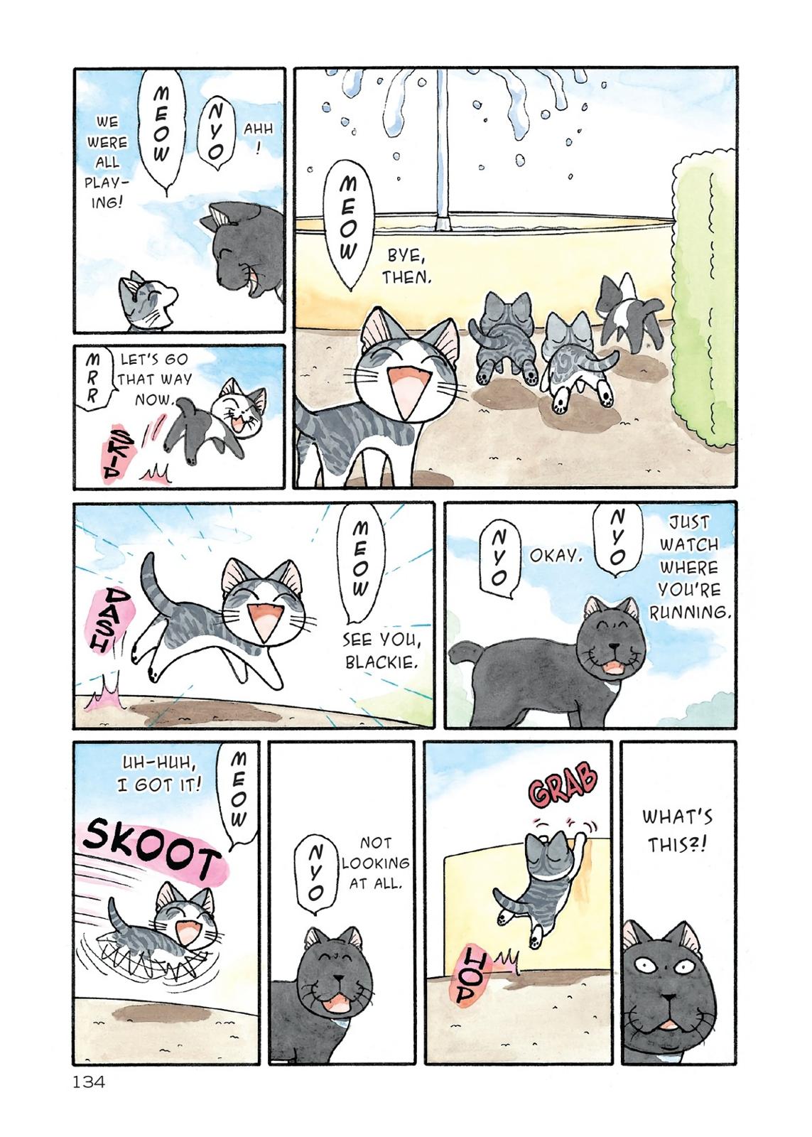 Chii's Sweet Home Chapter 181 page 4 - Chapter 181