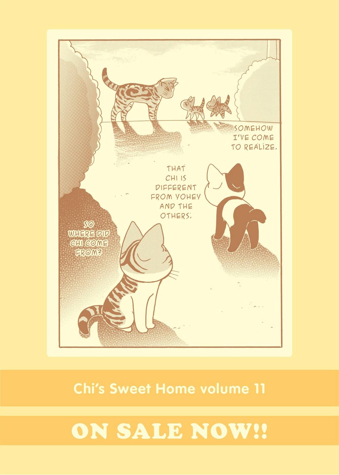 Chii's Sweet Home Chapter 182 page 11 - Chapter 182