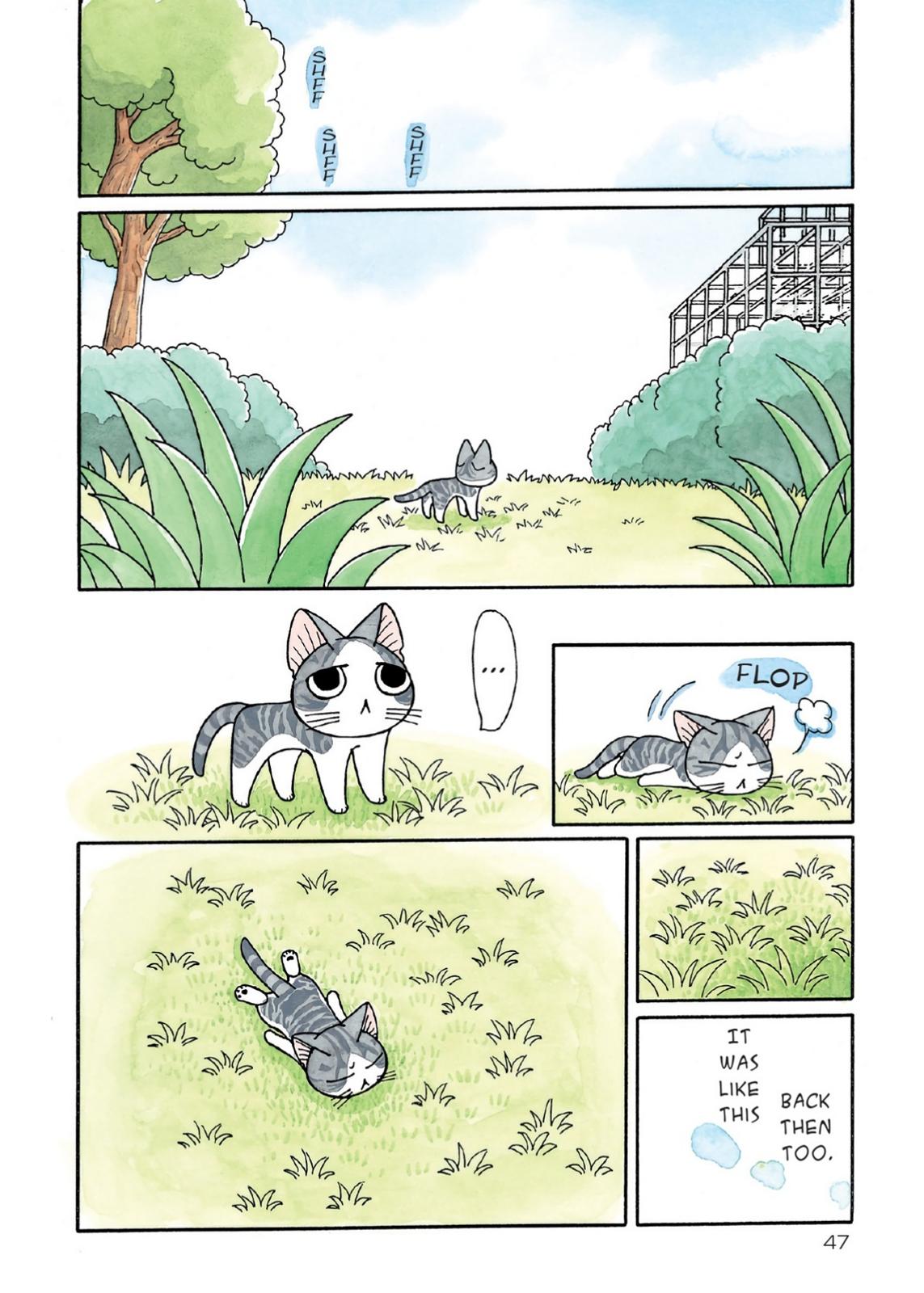 Chii's Sweet Home Chapter 188 page 5 - Chapter 188