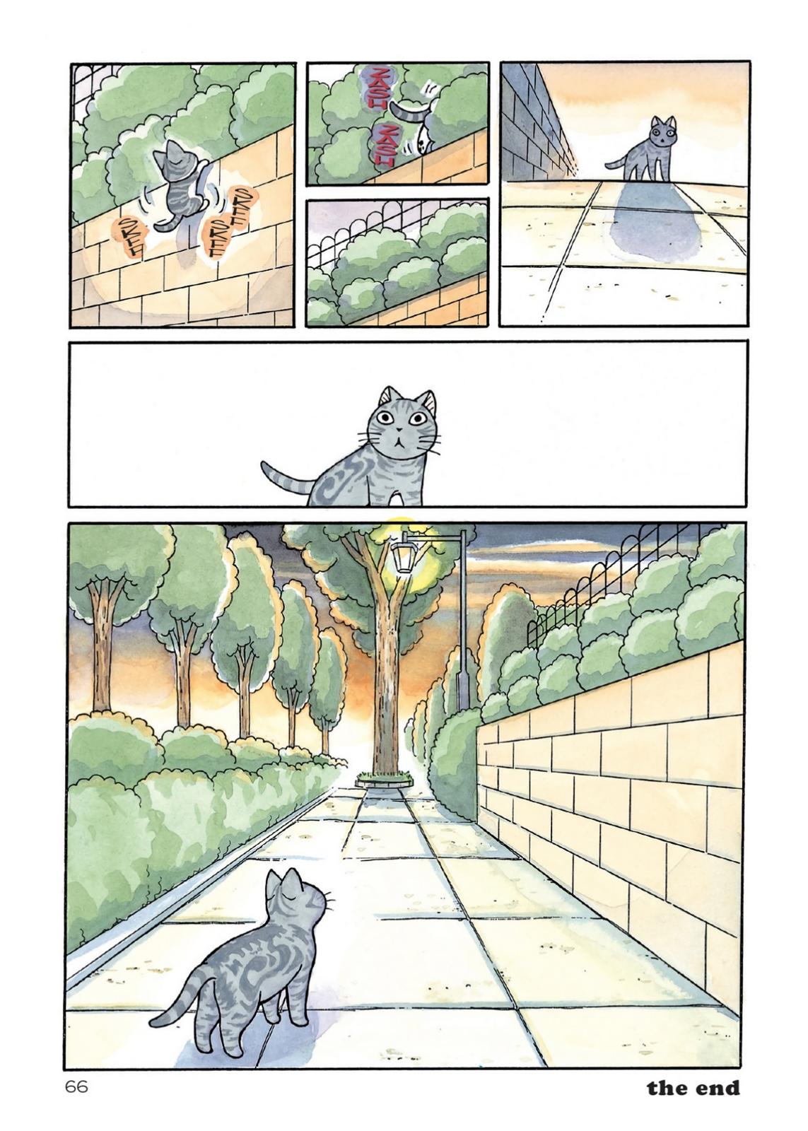 Chii's Sweet Home Chapter 190 page 8 - Chapter 190