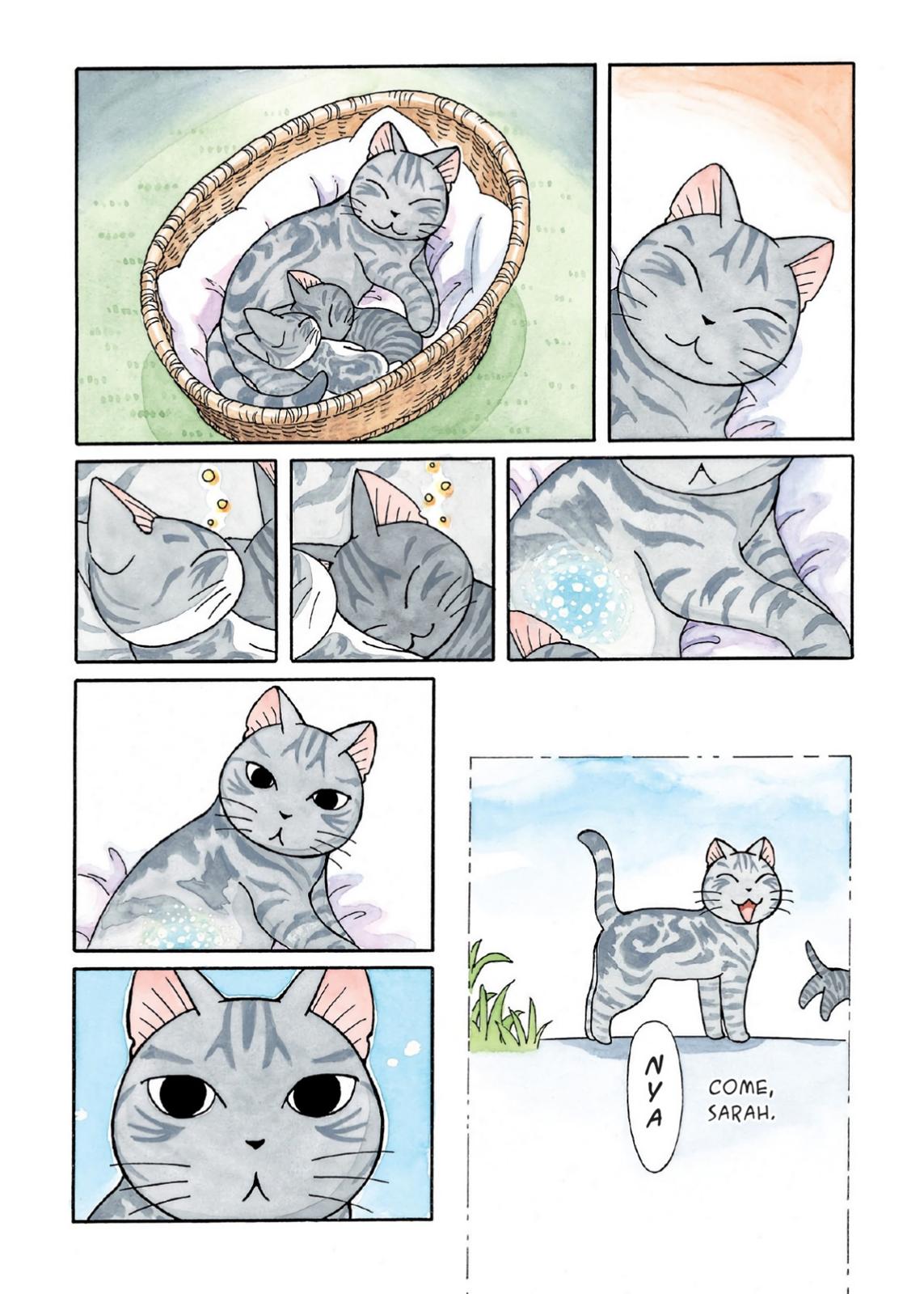 Chii's Sweet Home Chapter 196 page 7 - Chapter 196