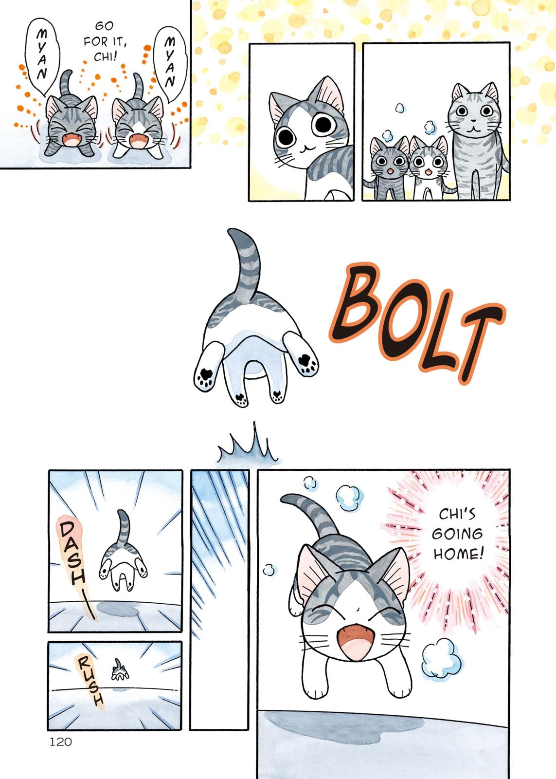 Chii's Sweet Home Chapter 215 page 2 - Chapter 215