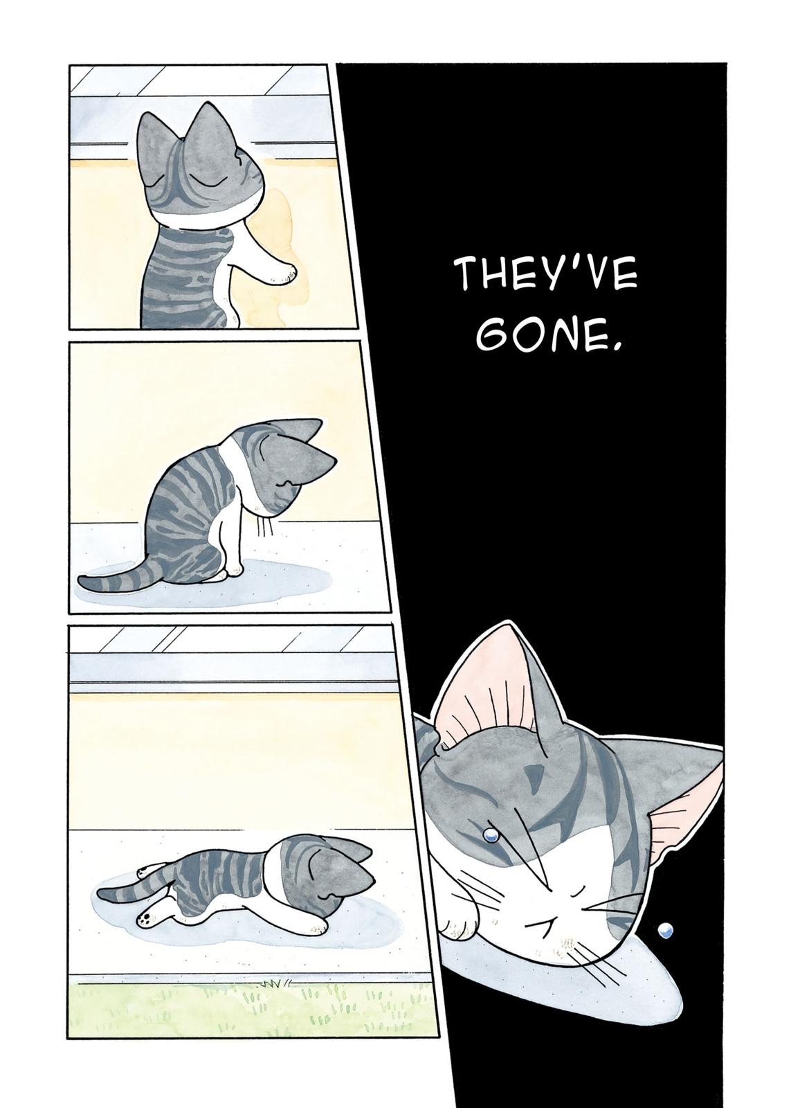 Chii's Sweet Home Chapter 217 page 3 - Chapter 217