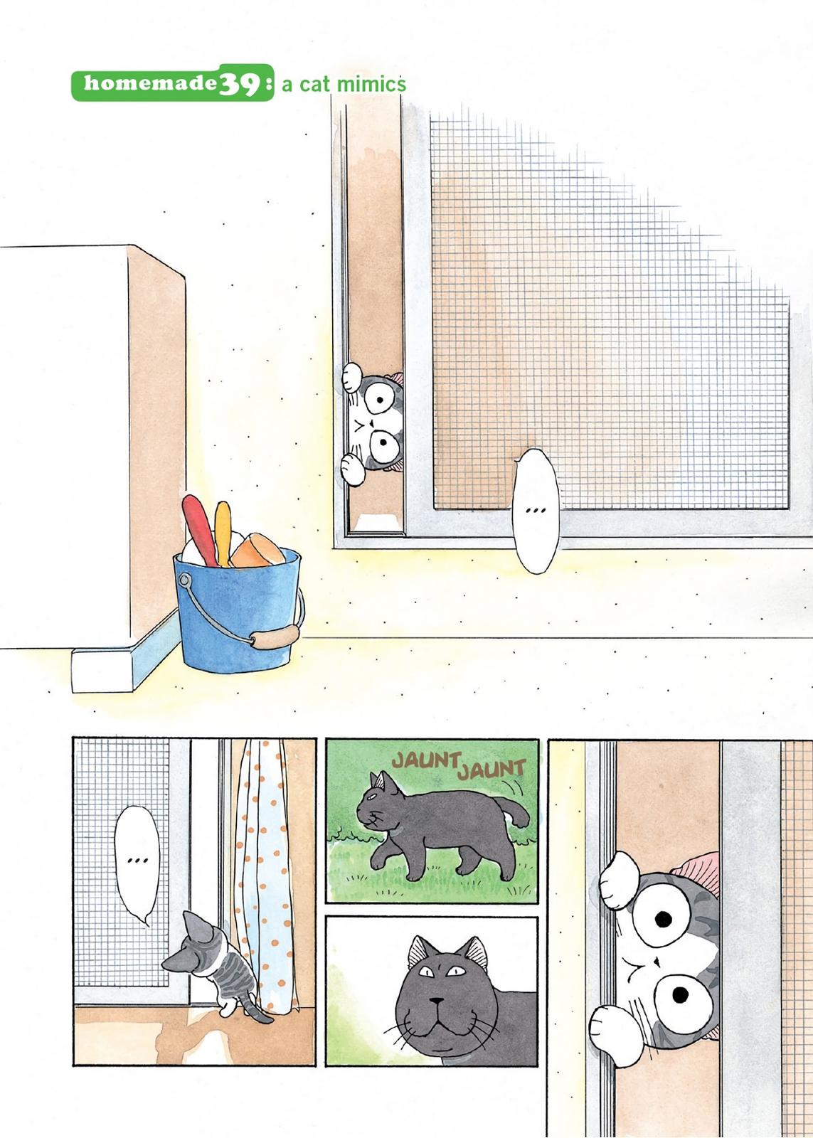 Chii's Sweet Home Chapter 39 page 4 - Chapter 39