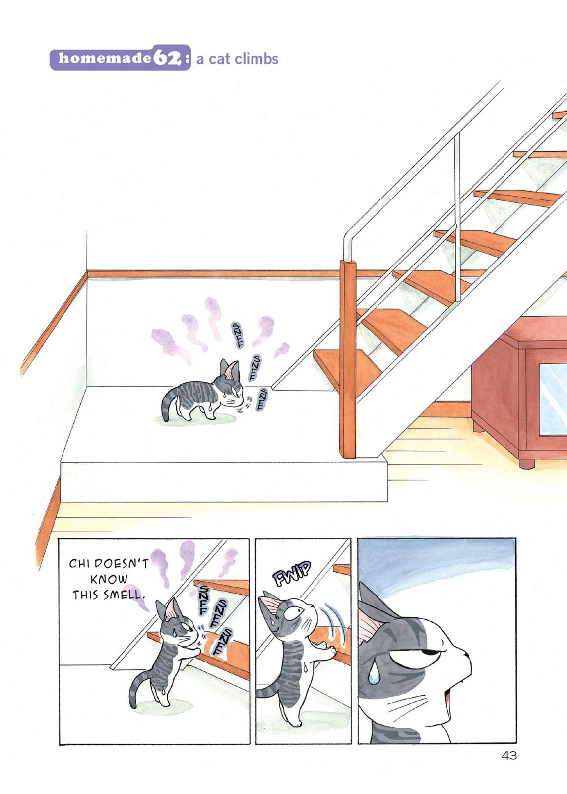 Chii's Sweet Home Chapter 62 page 1 - Chapter 62
