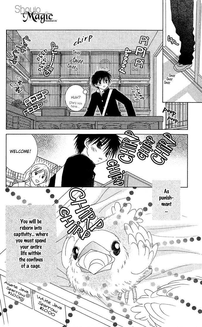 Chiko no Negai Chapter 1 page 34 - Chapter 1 : Chiko's Wish