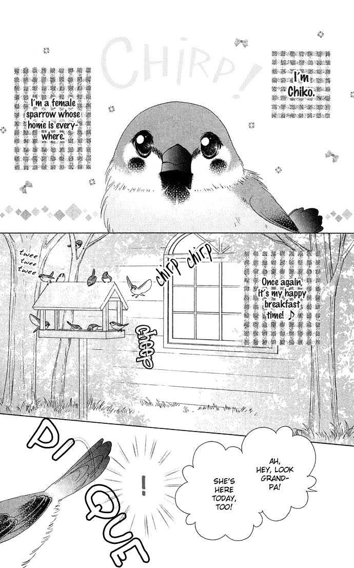 Chiko no Negai Chapter 1 page 6 - Chapter 1 : Chiko's Wish