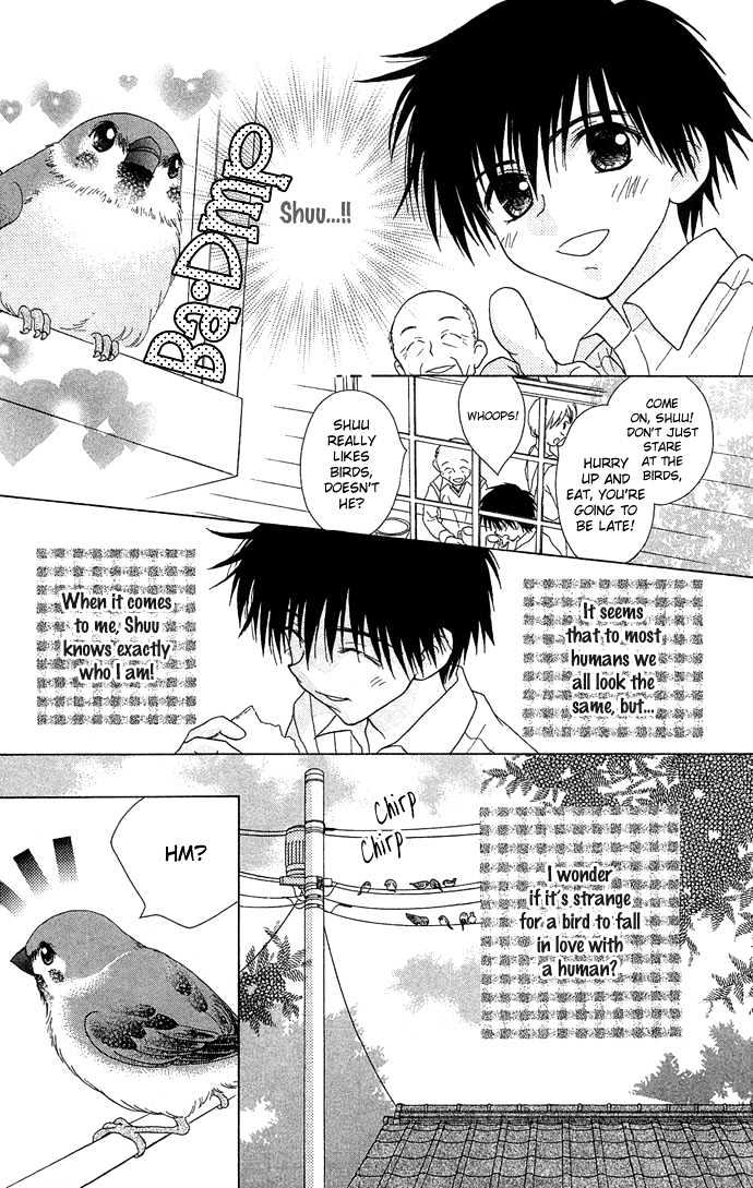 Chiko no Negai Chapter 1 page 7 - Chapter 1 : Chiko's Wish