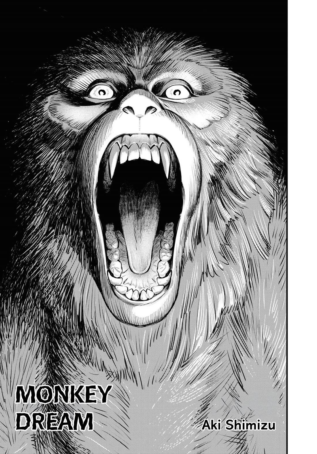 Chilling Internet Urban Legends: A Horror Comic Anthology Chapter 1 page 2 - Chapter 1: Monkey Dream (Shimizu Aki)