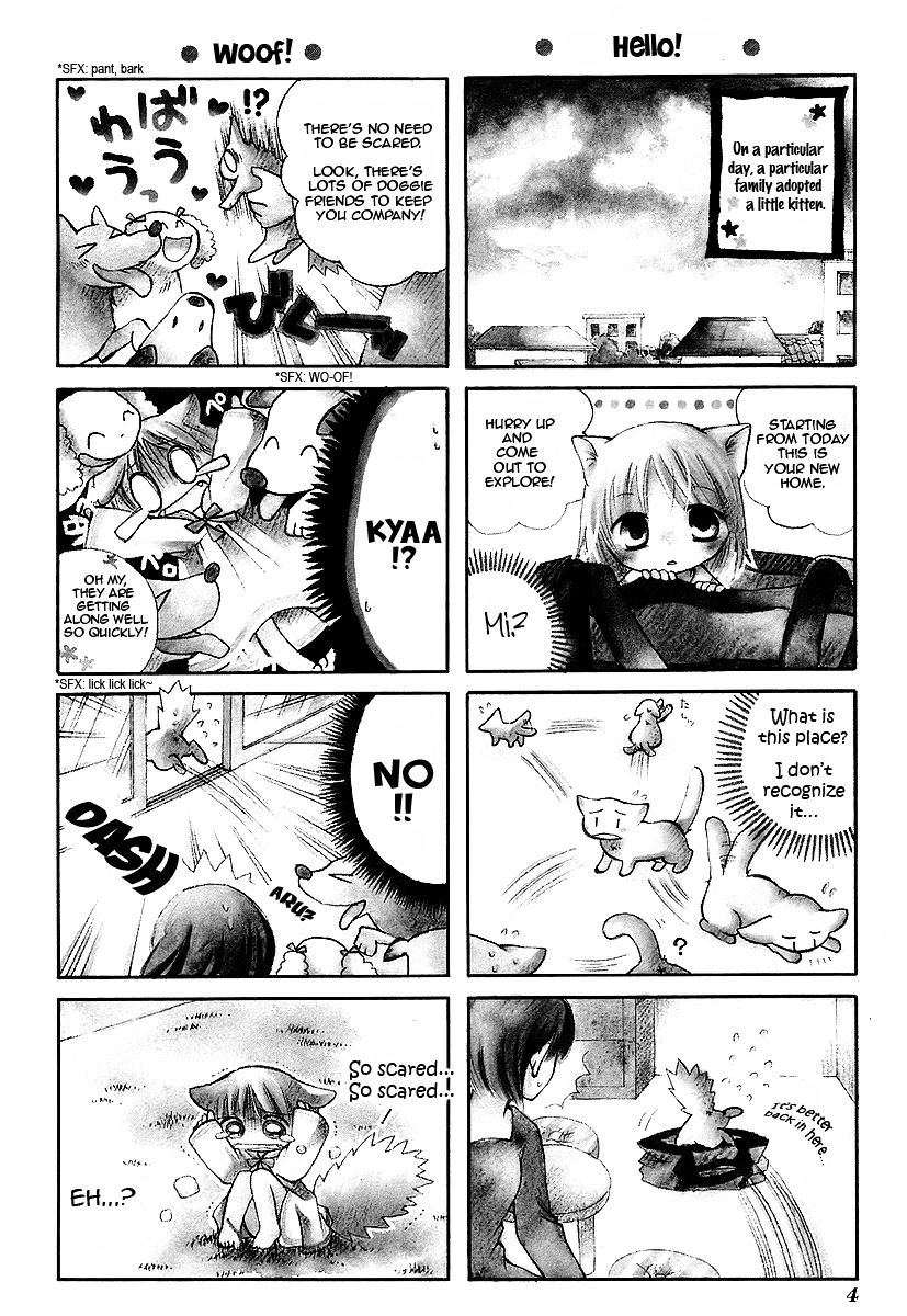 Chokotto Hime Chapter 1 page 7 - Chapter 1 : Little Kitten Who's Frightened of Life